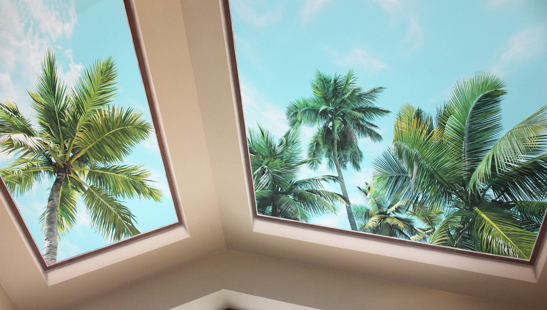 роспись потолка небо пальмы
