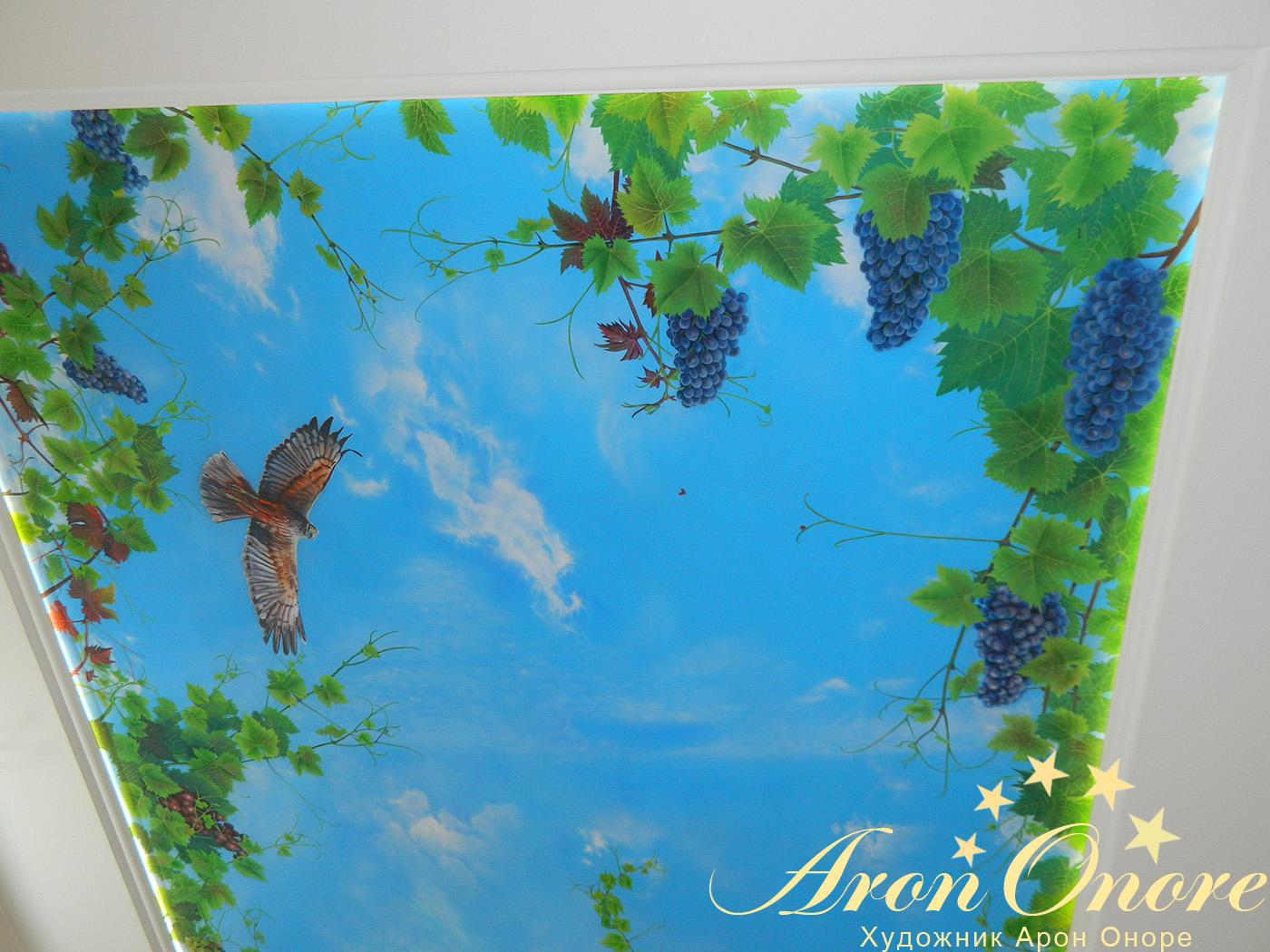 Аэрография на потолке – виноградная лоза на фоне неба